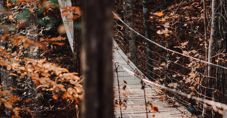 Tims Ford State Park - Gallery Image 1