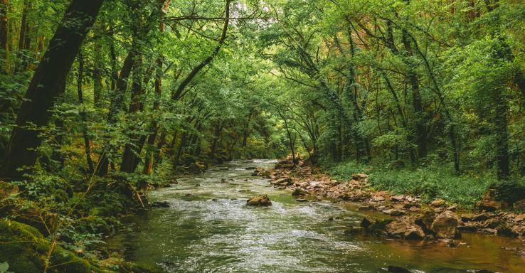 Henry Horton State Park - Gallery Image 2