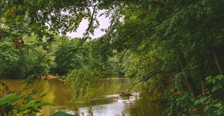 Henry Horton State Park - Gallery Image 4