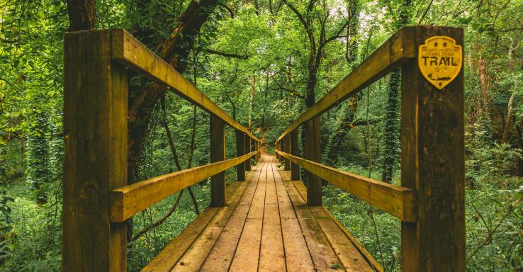 Henry Horton State Park - Gallery Image 6