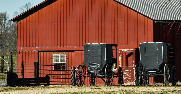 Amish Country Tours - Gallery Image 6