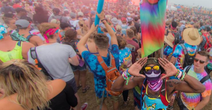 Bonnaroo Music &amp; Arts Festival - Gallery Image 3