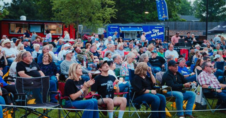 The Lawn Sessions - Gallery Image 2