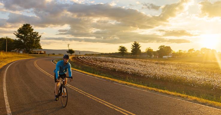 Bike TN - Natchez Trace Parkway Loop - Gallery Image 4