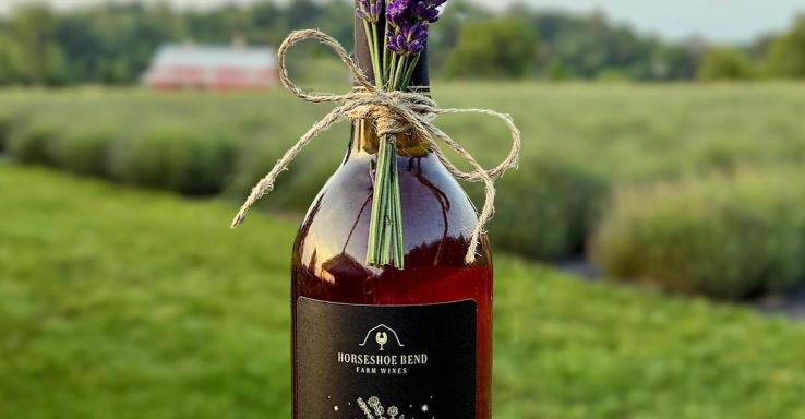 Horseshoe Bend Farm Wines - Gallery Image 2