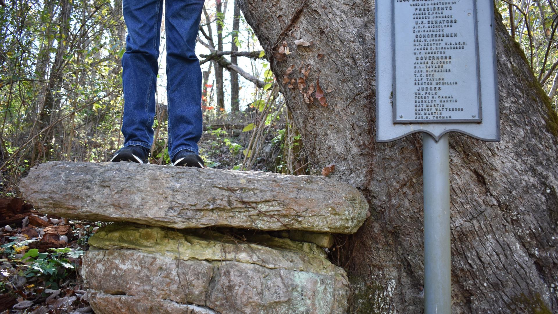 Berlin Springs Pavilion