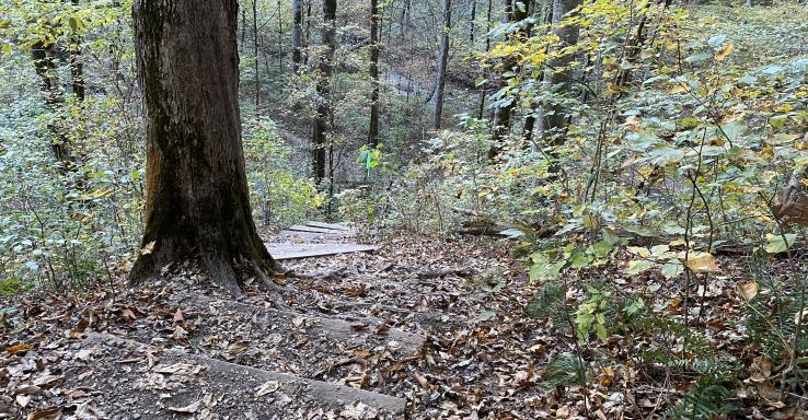 Short Springs Natural Area - Gallery Image 1