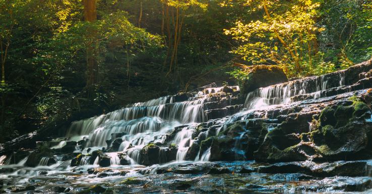 Head of the Crow State Park - Gallery Image 1