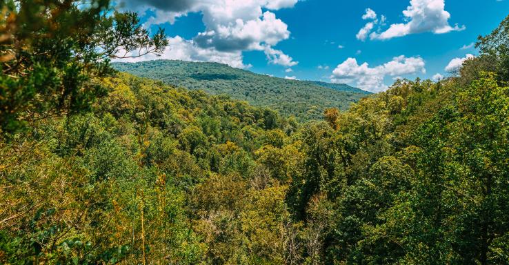 Head of the Crow State Park - Gallery Image 2