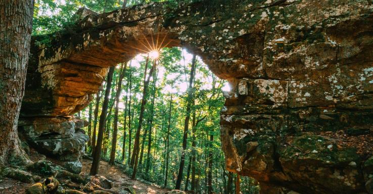 Head of the Crow State Park - Gallery Image 5