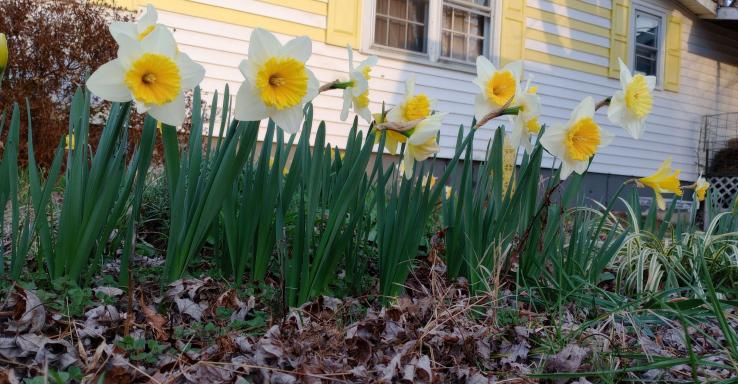 Camp Wonder Wander - Gallery Image 6