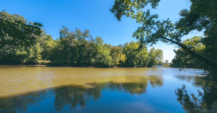 Lady's Bluff - Gallery Image 2