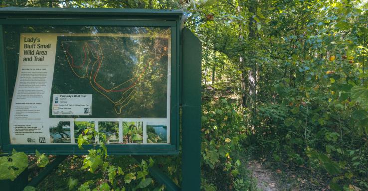 Lady's Bluff - Gallery Image 4