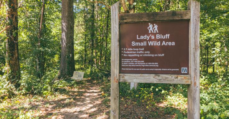 Lady's Bluff - Gallery Image 6