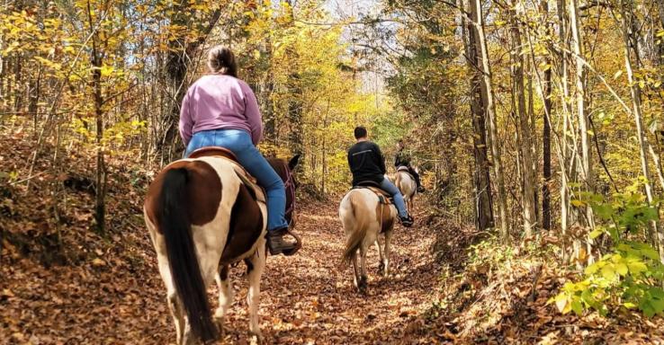 Little Creek Ranch - Gallery Image 3