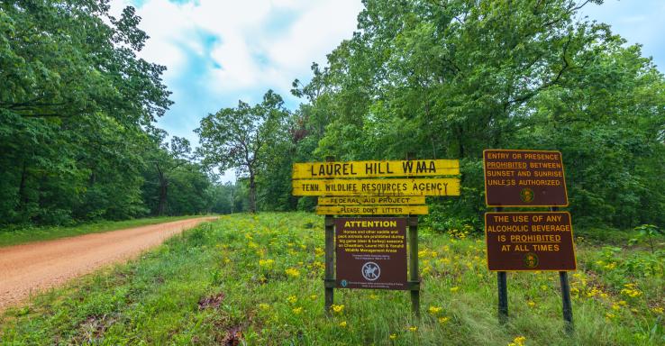 Laurel Hill Lake - Gallery Image 1