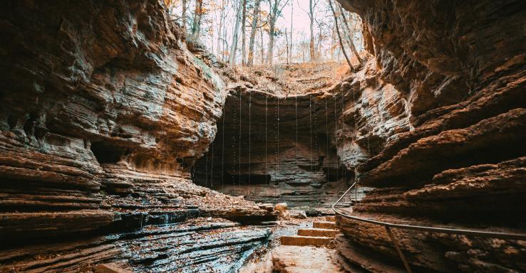 The Bridges - Gallery Image 2