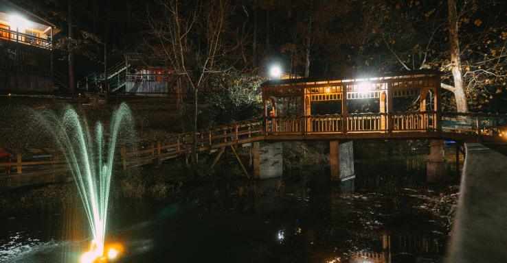 The Bridges - Gallery Image 6