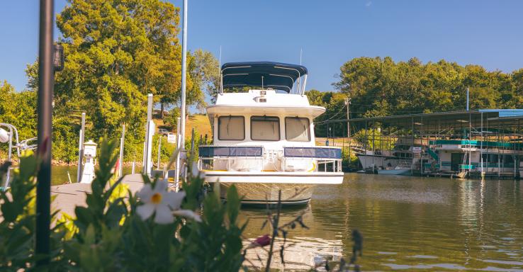 Clifton Marina - Gallery Image 5