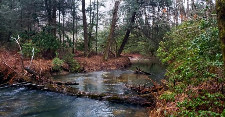 The Getaway On Ranger Creek - Gallery Image 1