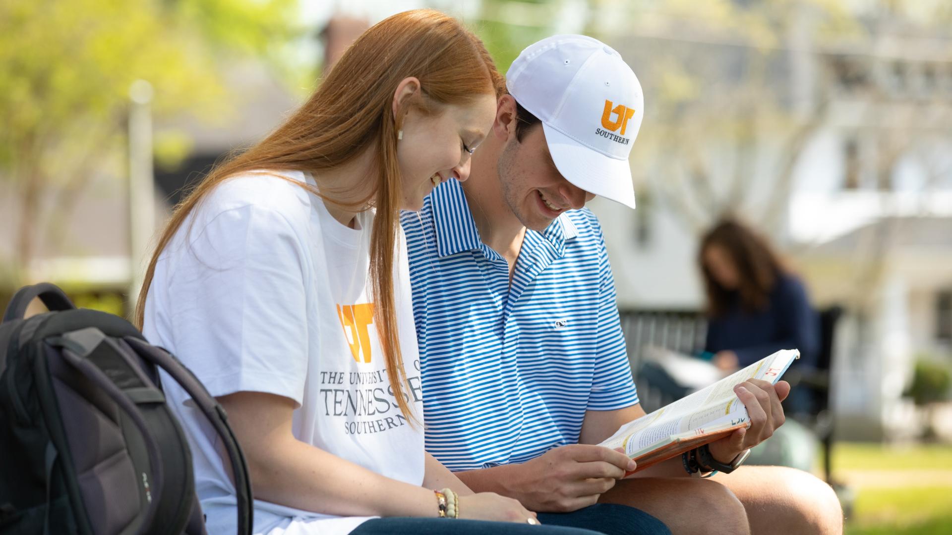 The University of Tennessee Southern