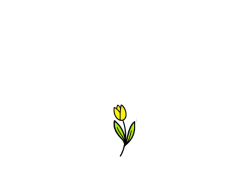 Yellow Tulip Design logo