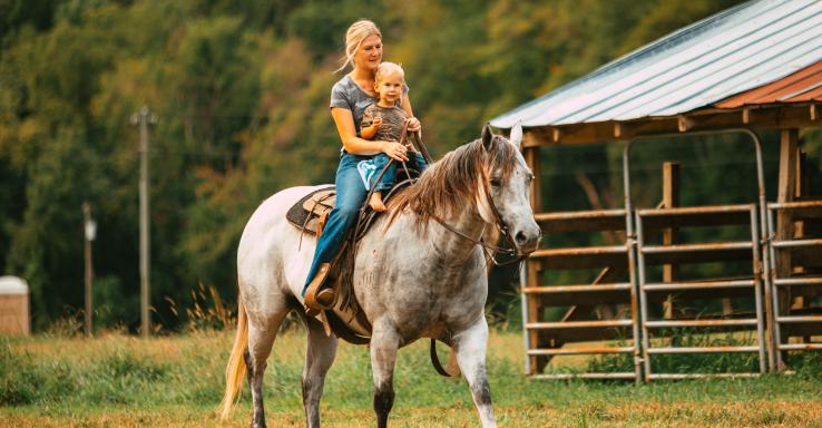 Buffalo River Trail Ride Inc - Gallery Image 3