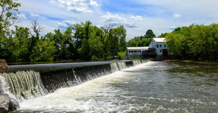 Lucky Duck River Rentals - Gallery Image 5