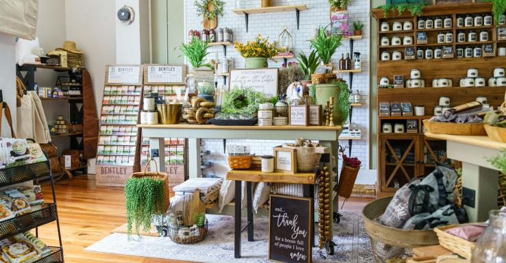 Willow + Reed - Gallery Image 3