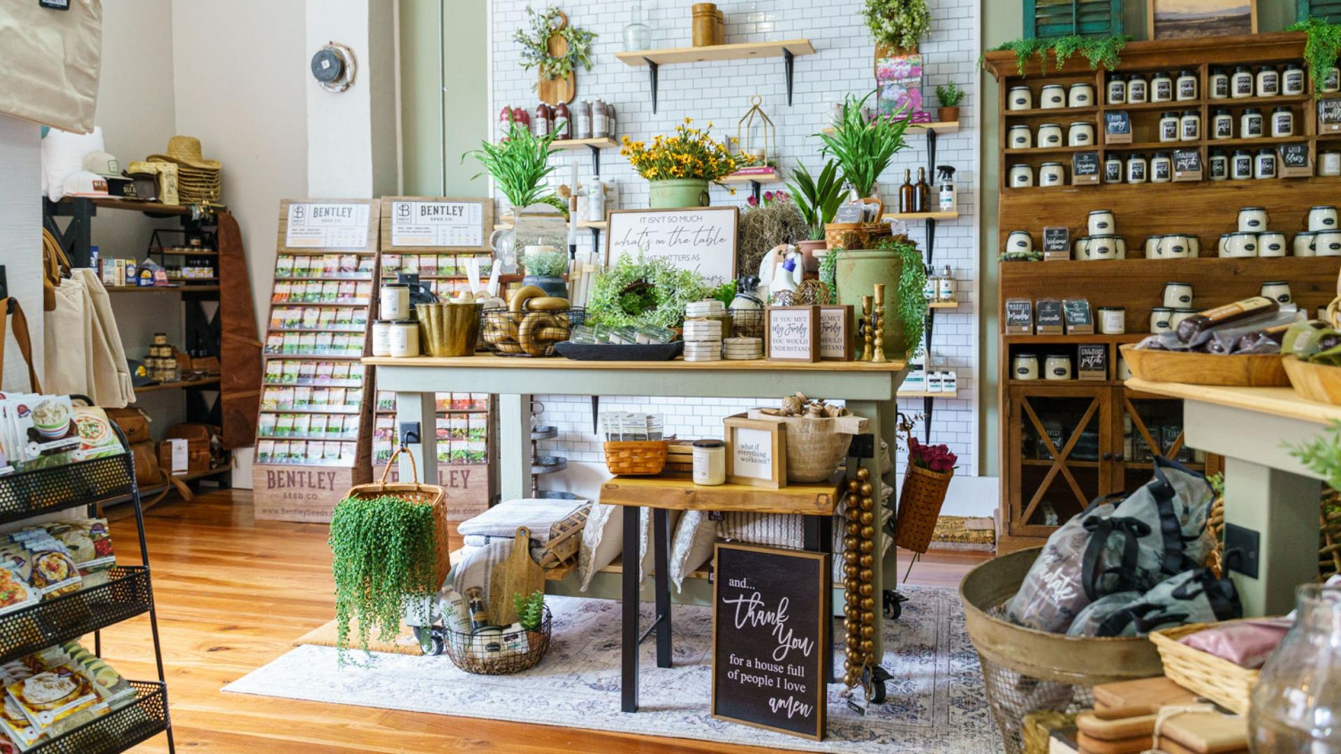 Wilow Reed Willow & Reed | Boutique Shopping & Gifts