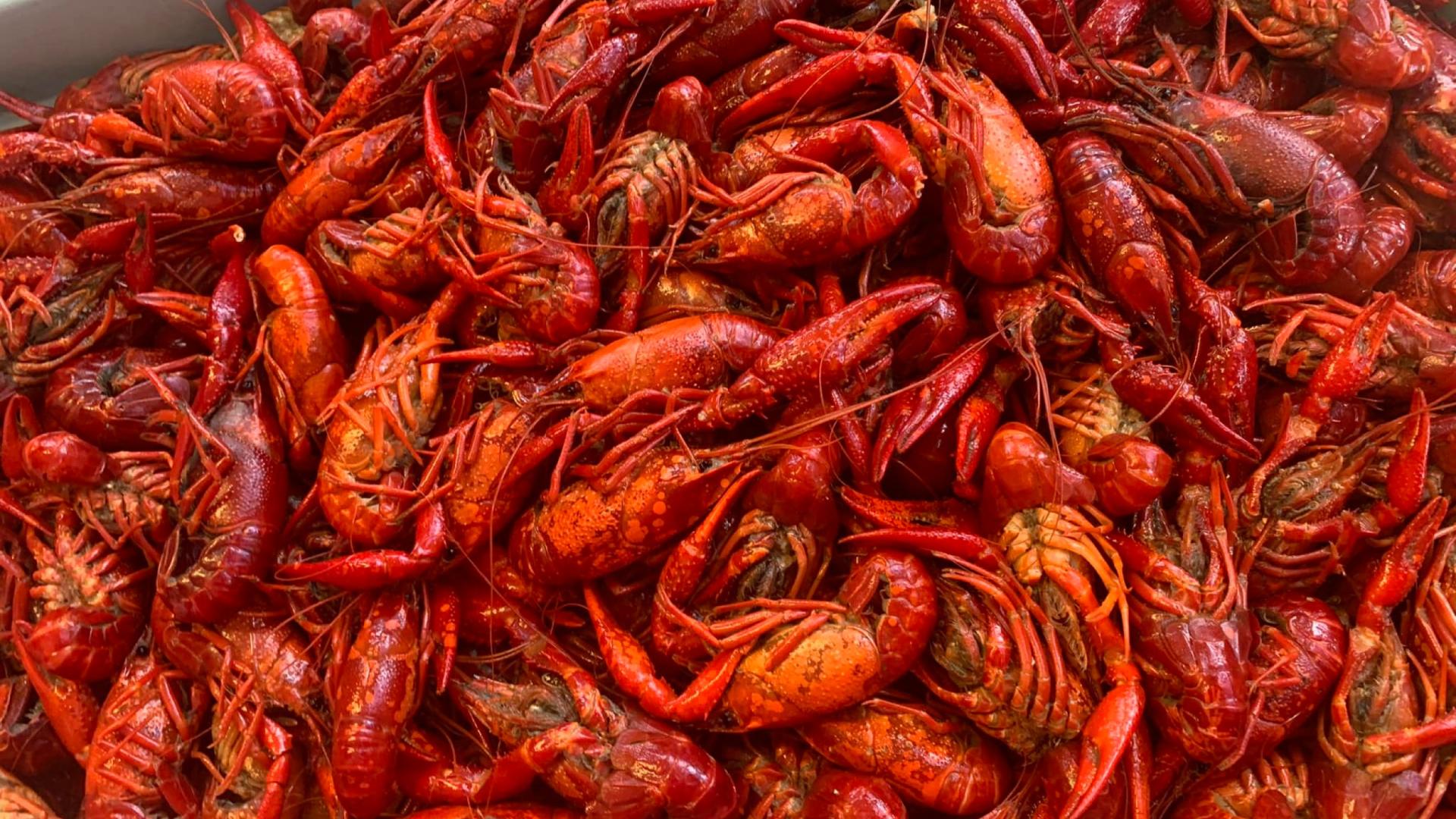 Lirette's Cajun Kitchen & Seafood