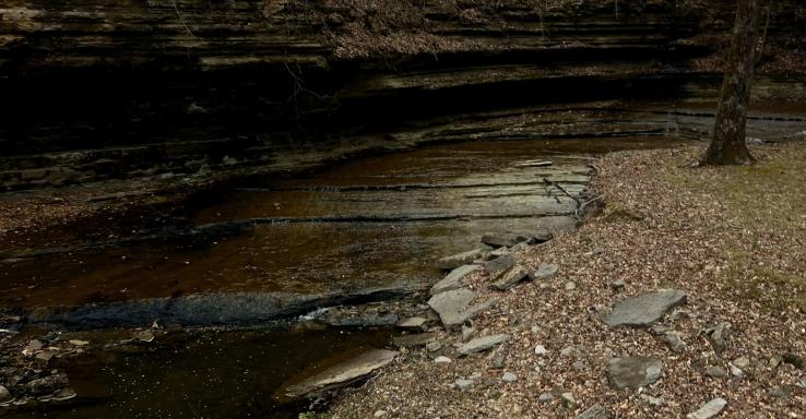 The Bridges - Gallery Image 1