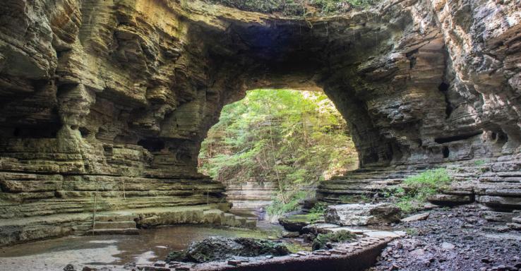 The Bridges - Gallery Image 5